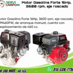 Motor Gasolina Forte 16Hp