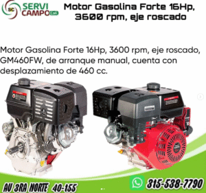 Motor Gasolina Forte 16Hp