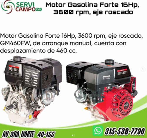 Motor Gasolina Forte 16Hp