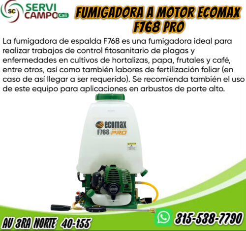 Fumigadora ECOMAX De Espalda a Motor